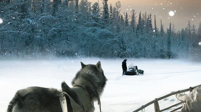 Happy People: A Year in the Taiga screenshot 1
