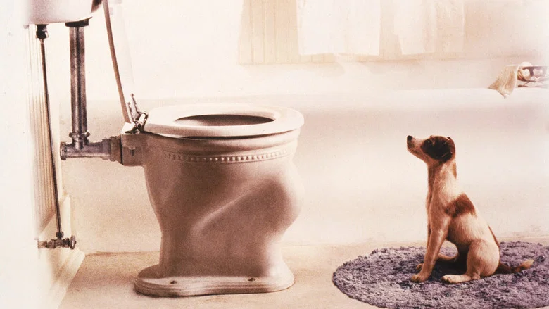 My Dog Skip screenshot 2