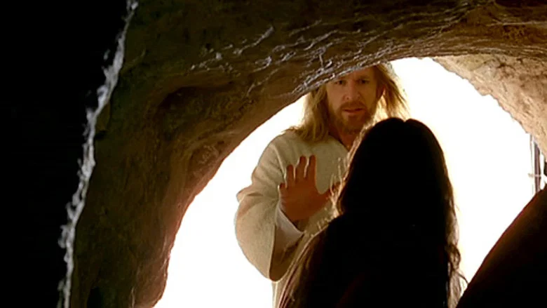 Mary screenshot 2