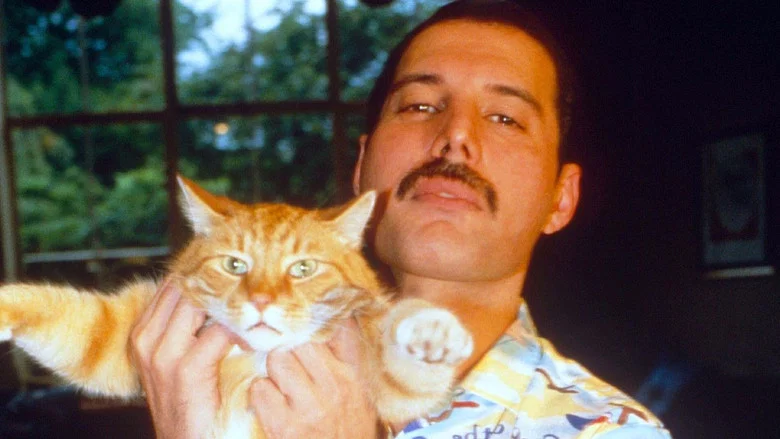 Freddie Mercury: The Great Pretender screenshot 3
