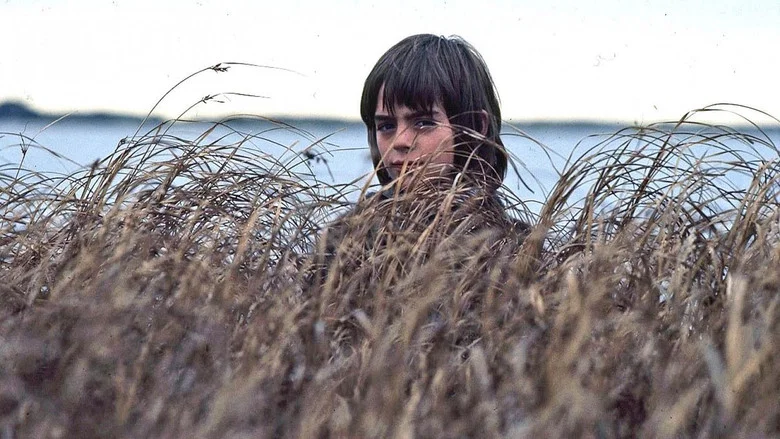 Storm Boy screenshot 2