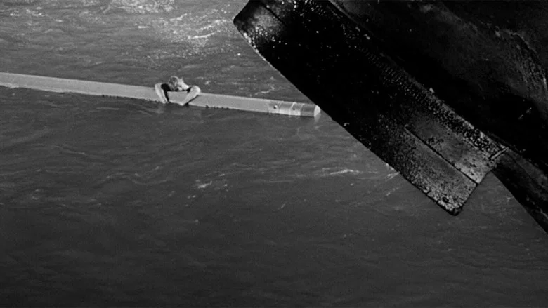 The Incredible Shrinking Man screenshot 6