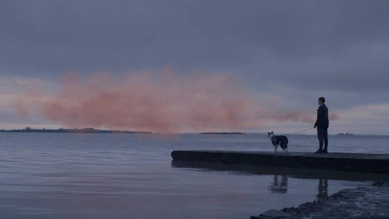 The Pink Cloud screenshot 3