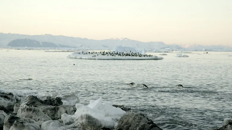 Antarctica: The Frozen Time screenshot 2