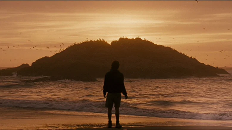 Into the Wild screenshot 4