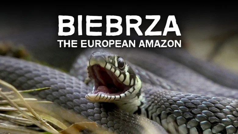 Biebrza: The European Amazon screenshot 2