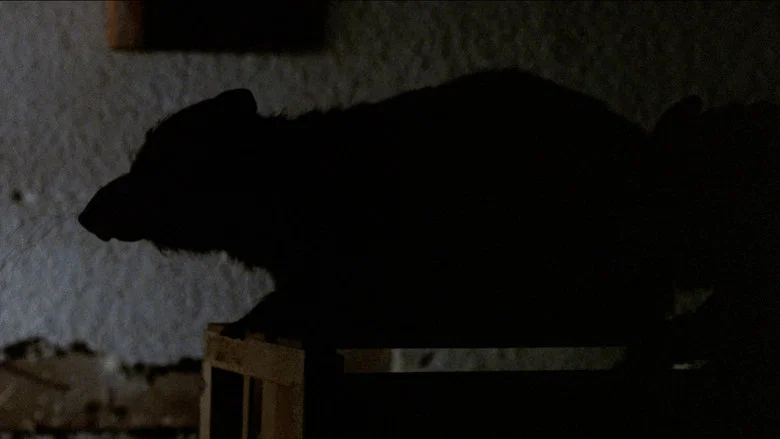 Deadly Eyes screenshot 8