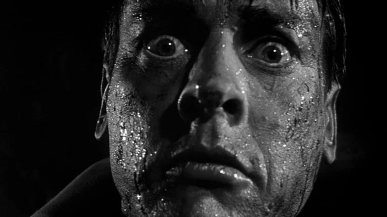 Invasion of the Body Snatchers screenshot 2