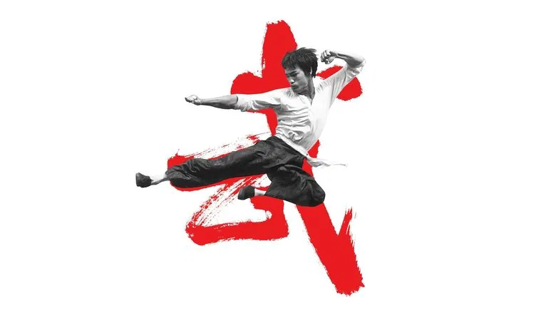 I Am Bruce Lee screenshot 1