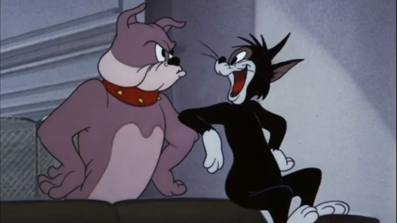 Smarty Cat screenshot 2