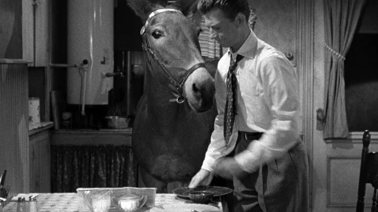 Francis Covers the Big Town screenshot 4