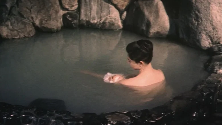 Akitsu Hot Springs screenshot 1
