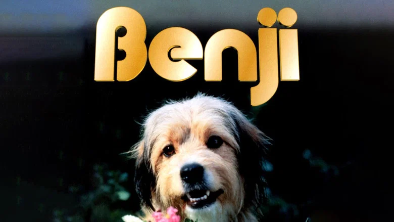 Benji screenshot 5