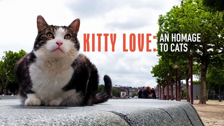 Kitty Love: An Homage to Cats screenshot 4