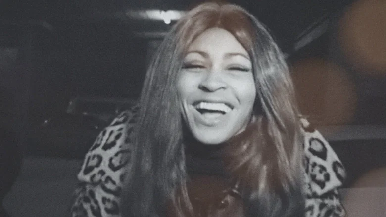TINA screenshot 8