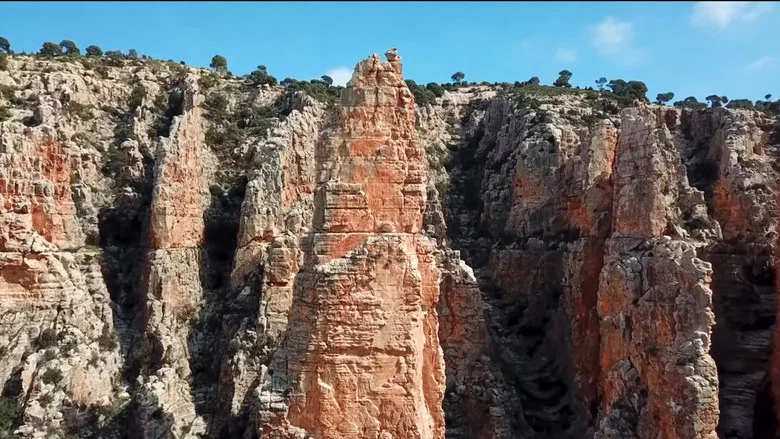 Twïza, L'Aventure Algérienne screenshot 4