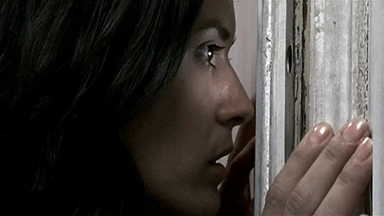Them screenshot 4