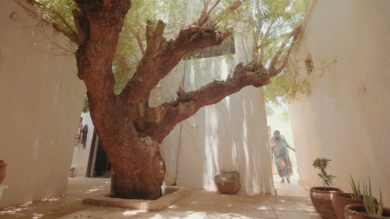 Kamala Ibrahim Ishag: States of Oneness screenshot 1