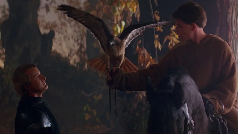 Ladyhawke screenshot 3