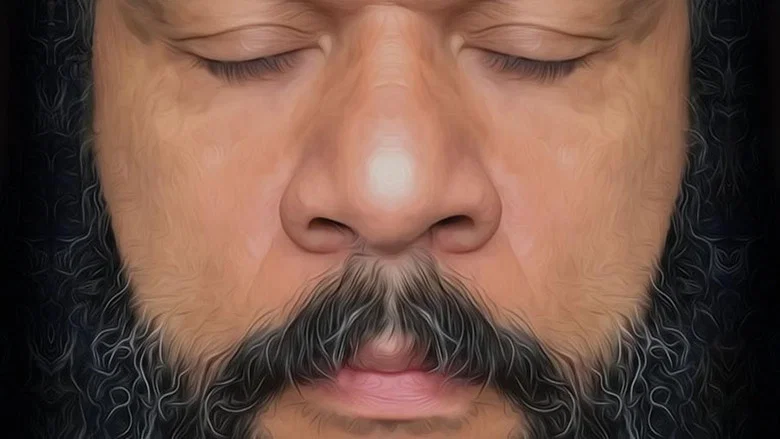 Dieudonné - La Politique screenshot 4