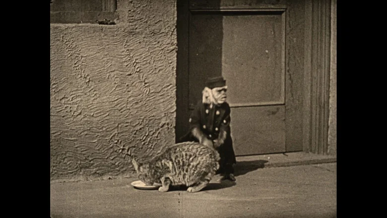 Wonder Dogs! Canine Stars of the Silent Era (1898-1928) screenshot 4