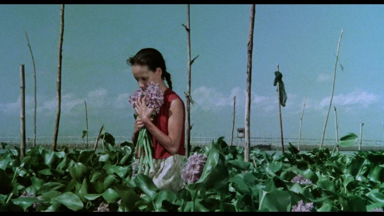 A Speck in the Water screenshot 1