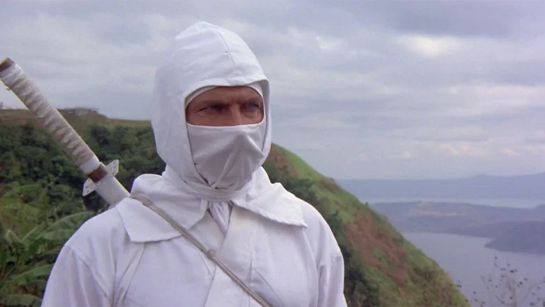 Enter the Ninja screenshot 4