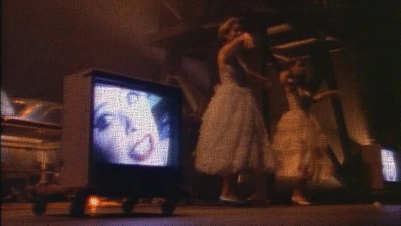 Industrial Symphony No. 1: The Dream of the Brokenhearted screenshot 1