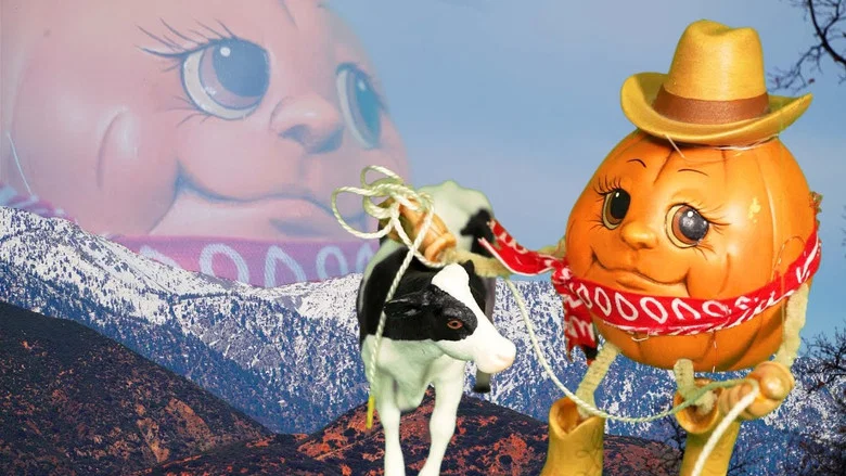 Pumpkin Cowboy screenshot 1