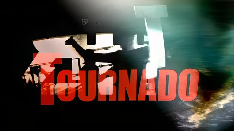The All-American Rejects: Tournado screenshot 3