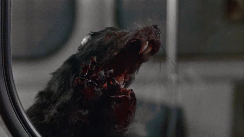 Deadly Eyes screenshot 3