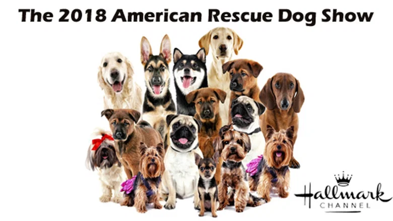 The 2018 American Rescue Dog Show screenshot 3