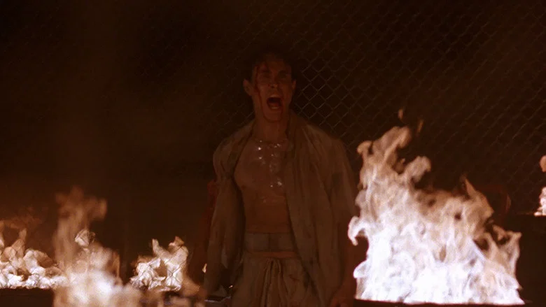Rapid Fire screenshot 4