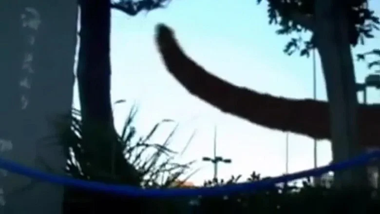 Monster screenshot 1