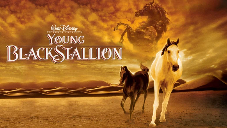 Young Black Stallion screenshot 3