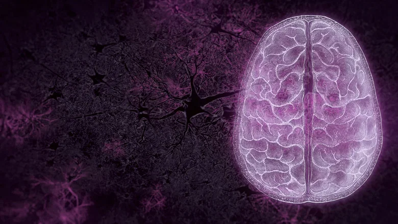 Your Brain screenshot 1