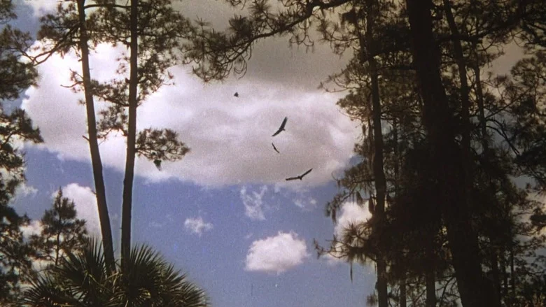 The Yearling screenshot 8