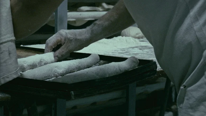 The Mechanics of Film screenshot 5