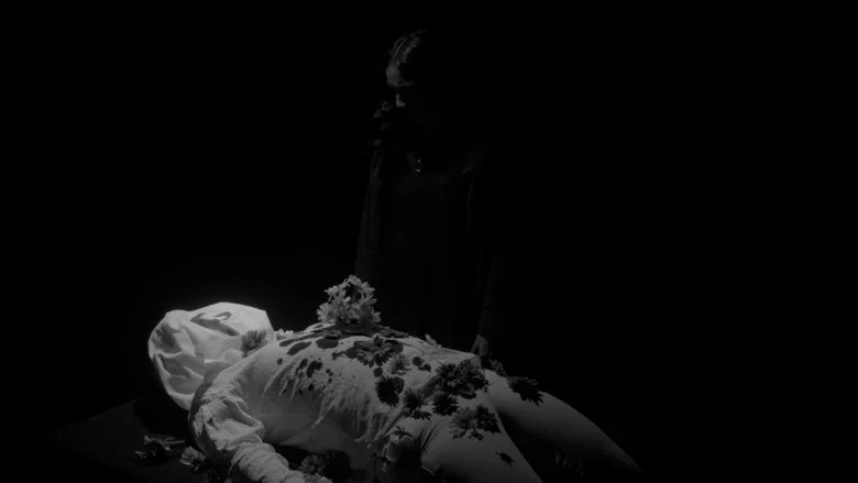 M. P. screenshot 1