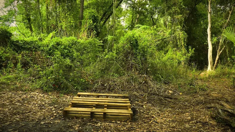Boomerang screenshot 3