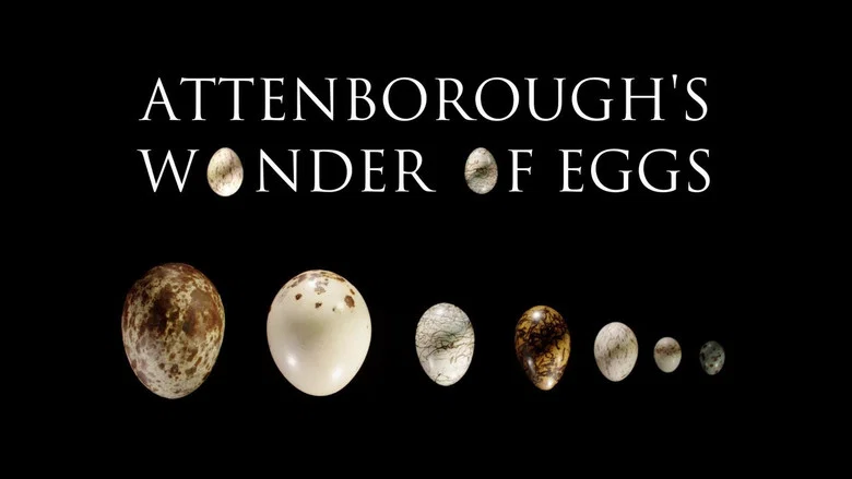 Attenborough's Wonder of Eggs screenshot 1