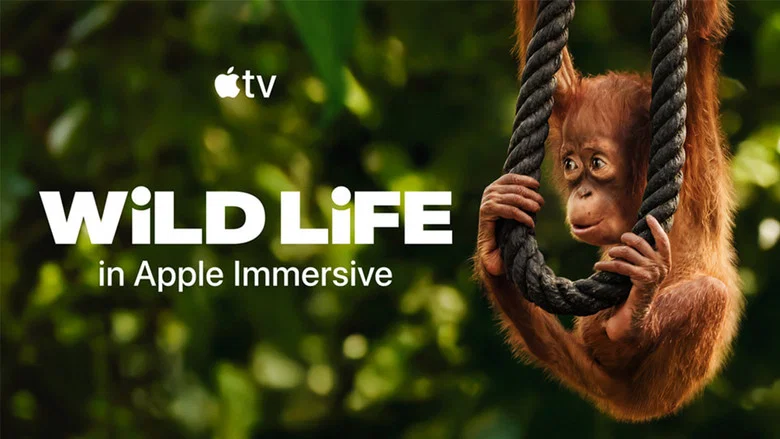 Wild Life - Orangutans screenshot 1