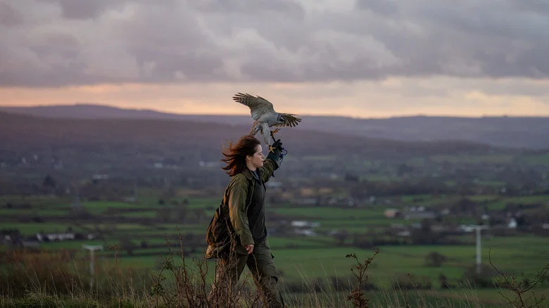 H Is for Hawk screenshot 6