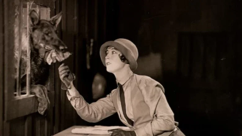 The Four-Footed Ranger screenshot 1