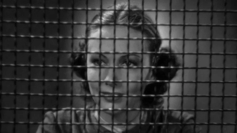 Woman Against the World screenshot 2