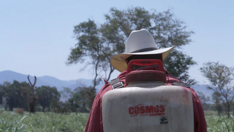Voices of the Earth: Health and Agroecology screenshot 2