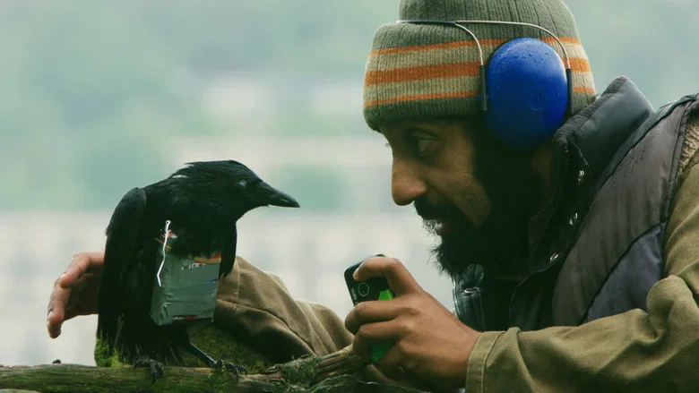 Four Lions screenshot 7