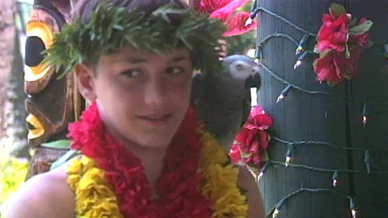 Iki Haole: Nico's Hawaiian Adventure screenshot 1