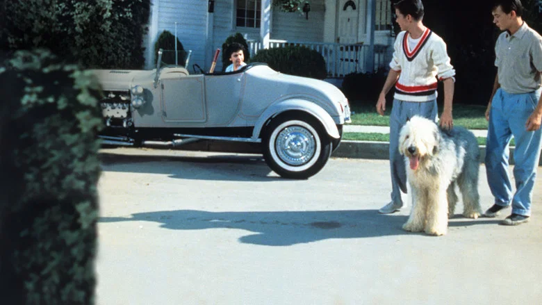 The Shaggy Dog screenshot 4
