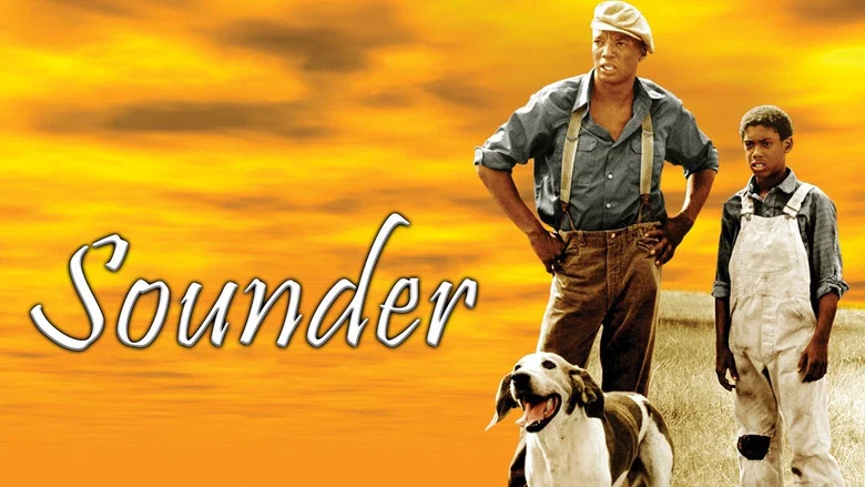 Sounder screenshot 5